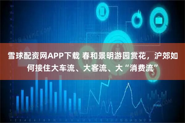 雪球配资网APP下载 春和景明游园赏花，沪郊如何接住大车流、大客流、大“消费流”