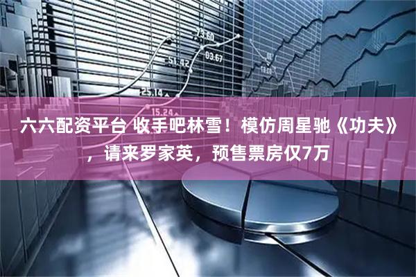 六六配资平台 收手吧林雪！模仿周星驰《功夫》，请来罗家英，预售票房仅7万