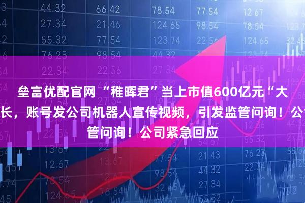 垒富优配官网 “稚晖君”当上市值600亿元“大牛股”董事长，账号发公司机器人宣传视频，引发监管问询！公司紧急回应