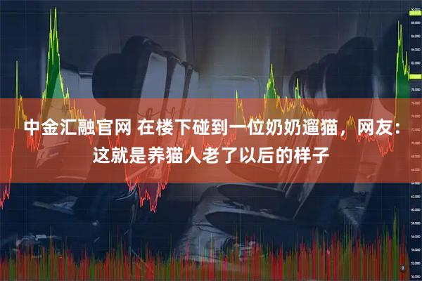 中金汇融官网 在楼下碰到一位奶奶遛猫，网友：这就是养猫人老了以后的样子