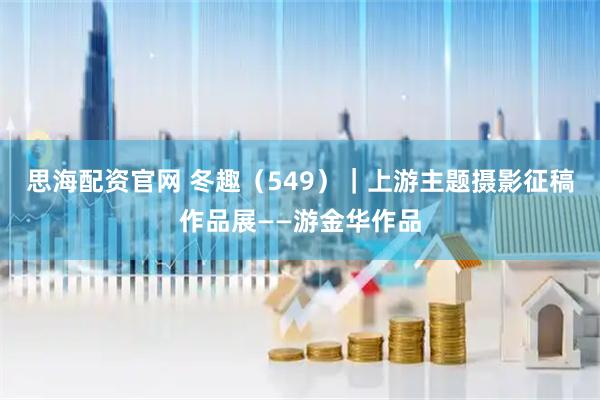 思海配资官网 冬趣（549）｜上游主题摄影征稿作品展——游金华作品