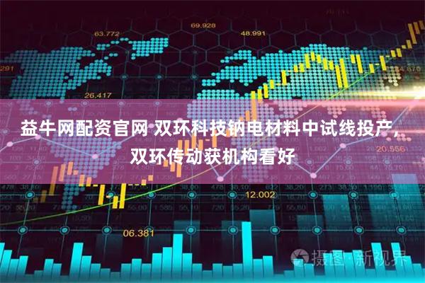 益牛网配资官网 双环科技钠电材料中试线投产, 双环传动获机构看好