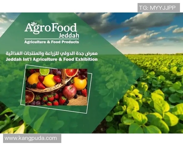 澳大利亚与多米尼对决精彩回顾及赛后分析